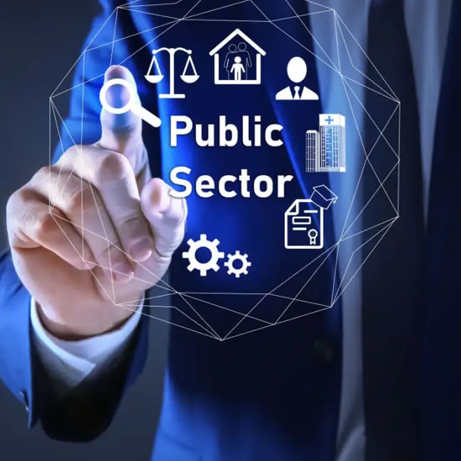 Public Sector & Government